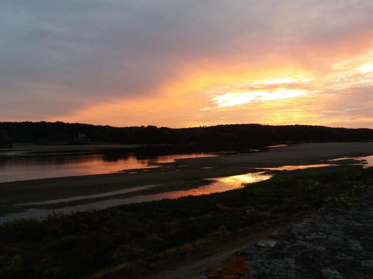 Le Cosy Loire Appart Daire Les Rosiers Dış mekan fotoğraf