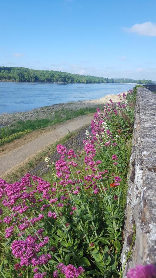 Le Cosy Loire Appart Daire Les Rosiers Dış mekan fotoğraf