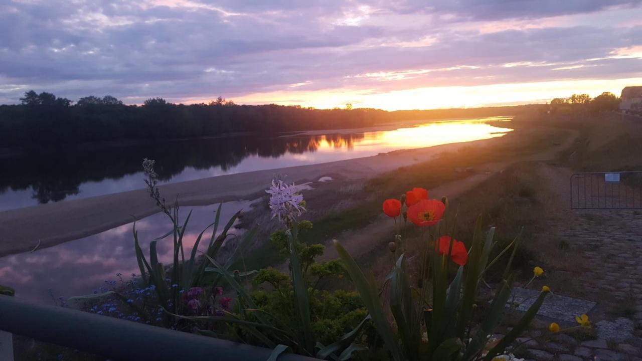 Le Cosy Loire Appart Daire Les Rosiers Dış mekan fotoğraf